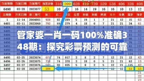 管家婆一肖一码100%准确348期：探究彩票预测的可靠性与现实意义