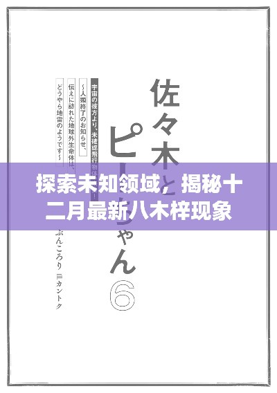 揭秘十二月最新八木梓现象，探索未知领域的奥秘