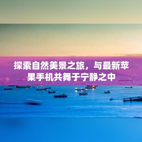 网站案例 第261页