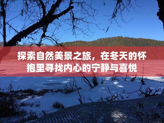 冬天的自然探索之旅，寻找内心的宁静与喜悦