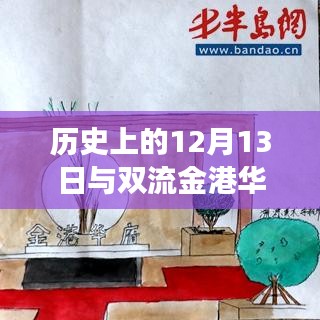 历史上的12月13日与双流金港华府房价变迁深度解析与观点分享