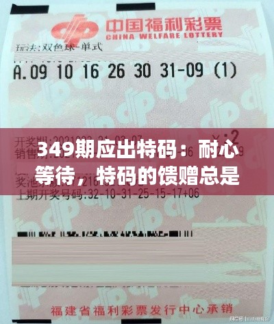 349期应出特码：耐心等待，特码的馈赠总是出人意料