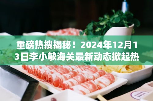 重磅揭秘！李小敏海关最新动态引发热议狂潮（2024年12月13日）