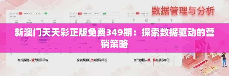 新澳门天天彩正版免费349期：探索数据驱动的营销策略