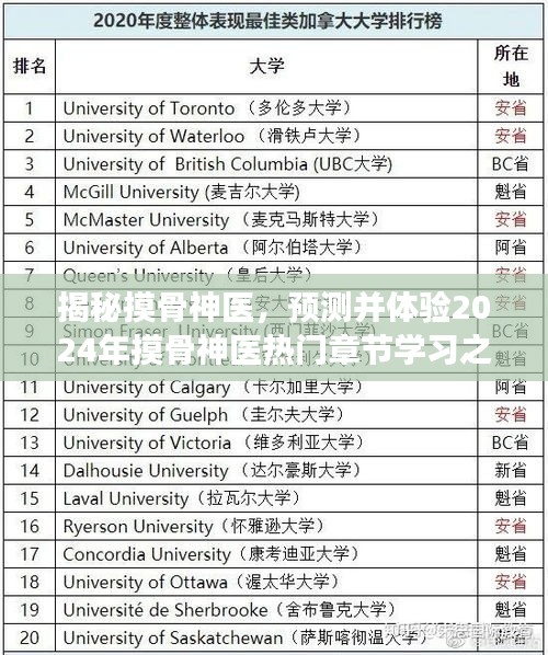 揭秘摸骨神医，从入门到进阶的热门章节学习之旅，预测并体验2024年摸骨神医奥秘