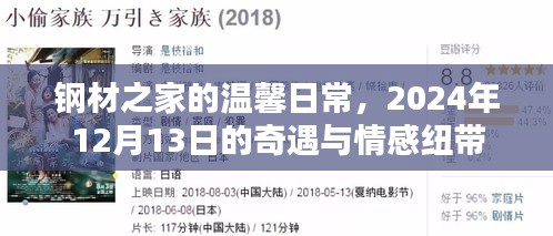 钢材之家，奇遇日之温情纽带与情感共鸣，2024年12月13日纪实