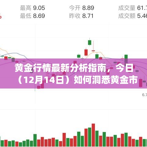 黄金行情最新分析指南，今日洞悉黄金市场走势（12月14日）