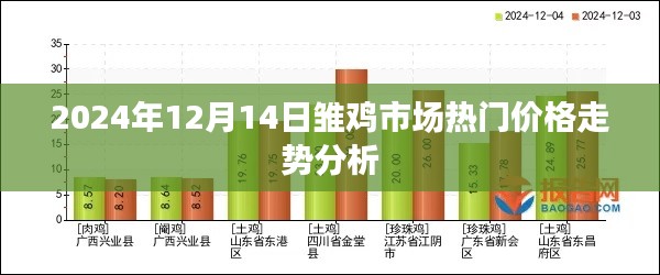 雏鸡市场热门价格走势分析（2024年12月14日）