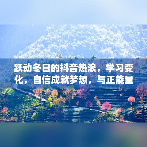 跃动冬日的抖音热浪，学习、自信与正能量共舞人生舞台