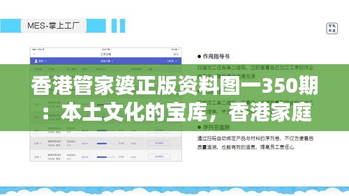 香港管家婆正版资料图一350期：本土文化的宝库，香港家庭管理智慧的编年史