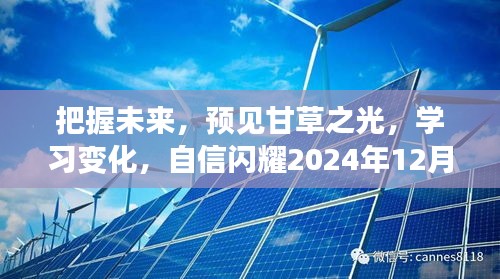 预见甘草之光，自信闪耀未来，学习变化引领前行至2024年12月14日