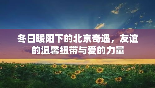 北京冬日暖阳下的友情与爱，奇遇与温馨纽带