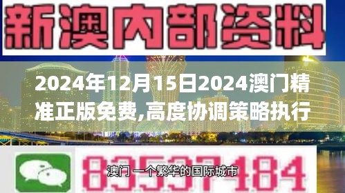 2024年12月15日2024澳门精准正版免费,高度协调策略执行_限量款2.701