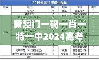 新澳门一码一肖一特一中2024高考,理论分析解析说明_HT5.943