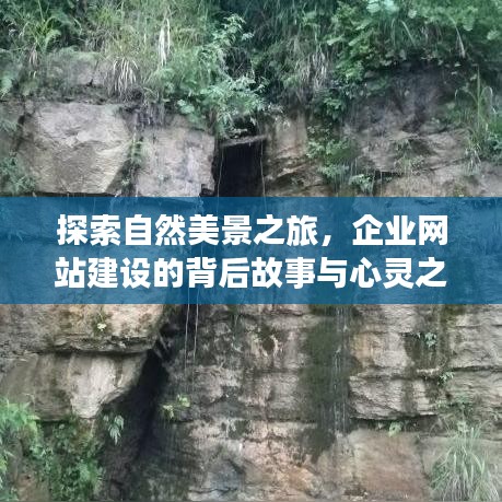 企业网站建设背后的自然美景探索与心灵启程之旅