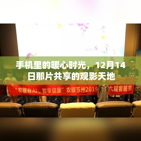 手机里的暖心时光，共享观影天地，12月14日的温馨之夜