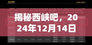 揭秘西峡吧，2024年12月14日热点聚焦全揭秘