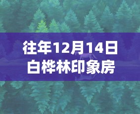 透视白桦林印象房价热议背后的不同观点与个人立场分析