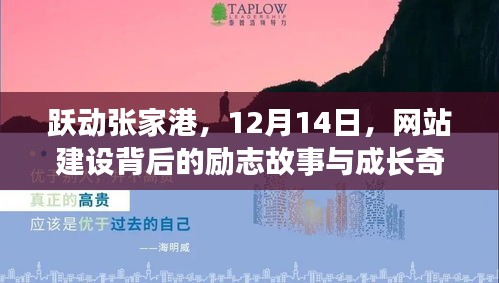 跃动张家港，网站建设背后的励志故事与成长奇迹——12月14日回顾