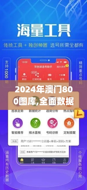 2024年澳门800图库,全面数据执行方案_专业款5.711