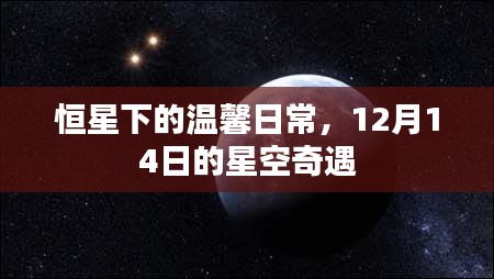 星空奇遇，恒星下的温馨日常，12月14日的星夜浪漫