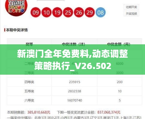 新澳门全年免费料,动态调整策略执行_V26.502