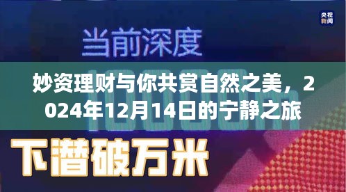 妙资理财，与自然共赏宁静之旅，2024年12月14日的特别体验