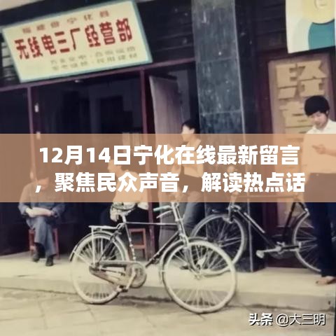 宁化在线最新留言聚焦，民众声音与热点话题解读