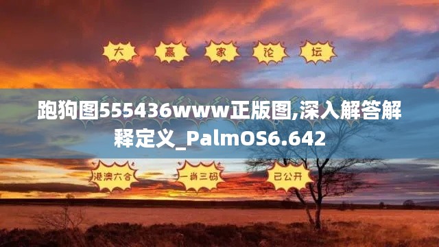 跑狗图555436www正版图,深入解答解释定义_PalmOS6.642