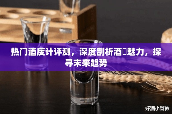 热门酒测评大揭秘，深度剖析酒的魅力与未来趋势探寻