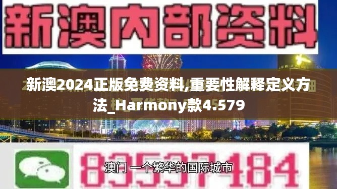 新澳2024正版免费资料,重要性解释定义方法_Harmony款4.579