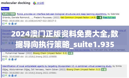 2024澳门正版资料免费大全,数据导向执行策略_suite1.935