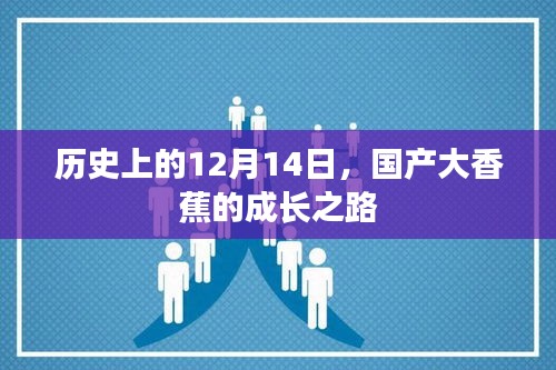 国产大香蕉的成长之路，回望历史中的12月14日