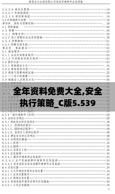 全年资料免费大全,安全执行策略_C版5.539