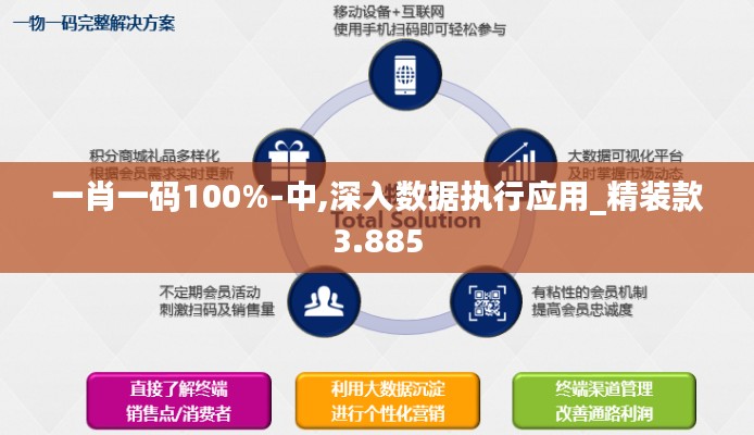 一肖一码100%-中,深入数据执行应用_精装款3.885