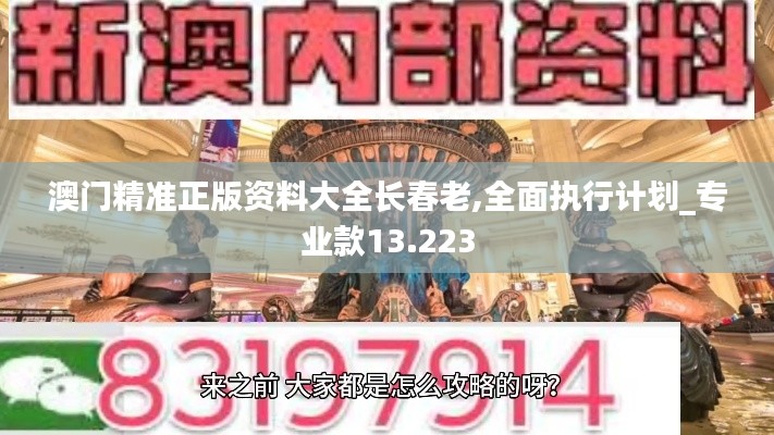 澳门精准正版资料大全长春老,全面执行计划_专业款13.223