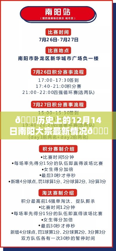 🌟历史上的南阳大宗最新动态揭秘，12月14日回顾与展望🎉