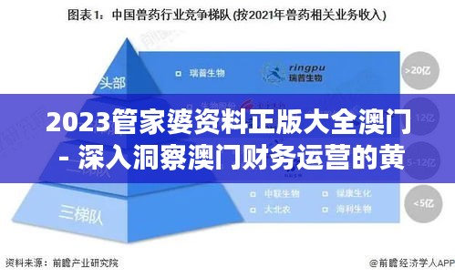 2023管家婆资料正版大全澳门 - 深入洞察澳门财务运营的黄金指南