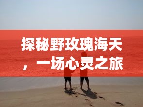 野玫瑰海天的心灵之旅，奇妙猜想与鼓舞的探秘之旅