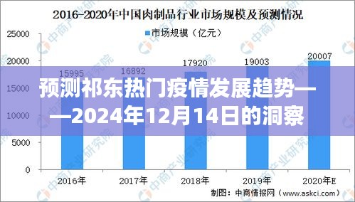 祁东疫情发展趋势预测，2024年12月洞察报告