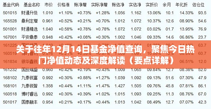 热门基金净值动态解读，历年12月14日基金净值深度剖析与今日焦点解读