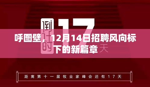 呼图壁，招聘风向标下的新篇章开启（12月14日）