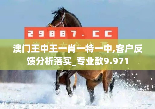 澳门王中王一肖一特一中,客户反馈分析落实_专业款9.971