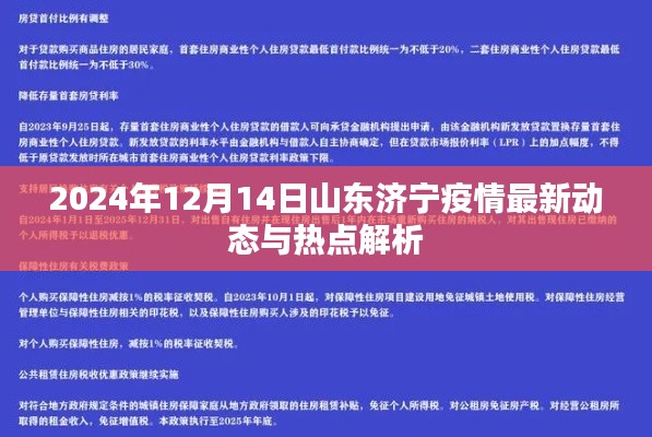 山东济宁疫情最新动态解析及热点探讨（2024年12月14日）