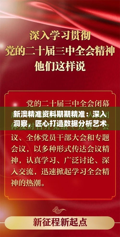 新澳精准资料期期精准：深入洞察，匠心打造数据分析艺术