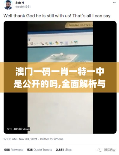 澳门一码一肖一特一中是公开的吗,全面解析与深度体验_领航款9.116