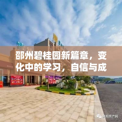 邵州碧桂园成长新篇章，变化中的学习，自信与成就的种子扎根成长之路