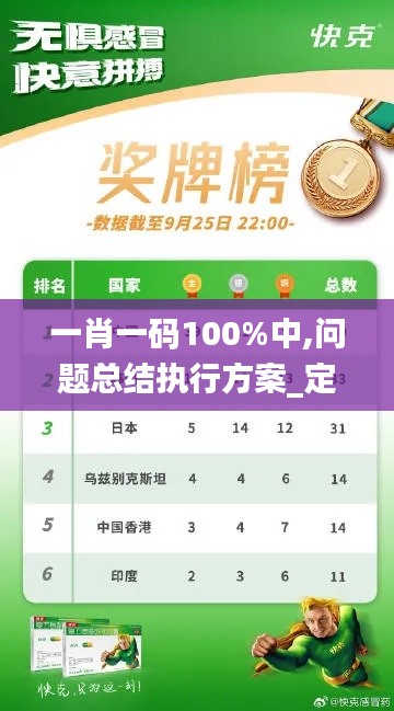 一肖一码100%中,问题总结执行方案_定制版5.253