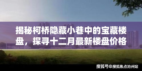 柯桥隐藏小巷中的宝藏楼盘探寻，十二月最新独特魅力与价格揭秘