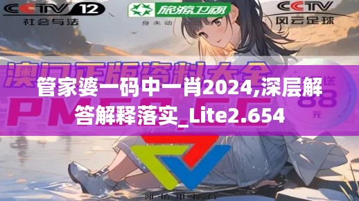 管家婆一码中一肖2024,深层解答解释落实_Lite2.654